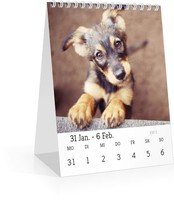 Calendar Tischkalender Blanko 2022 page 7 preview