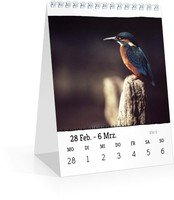 Calendar Wochen-Tischkalender Bordüre 2022 page 11 preview