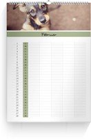 Calendar Familienkalender Farbenspiel 2022 page 3 preview